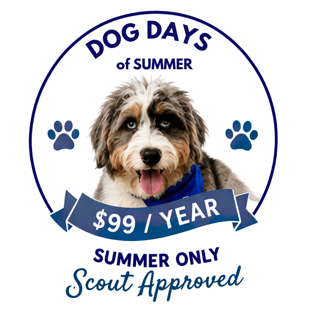 Dog Days of Summer Special — $99/year, Scout Approved